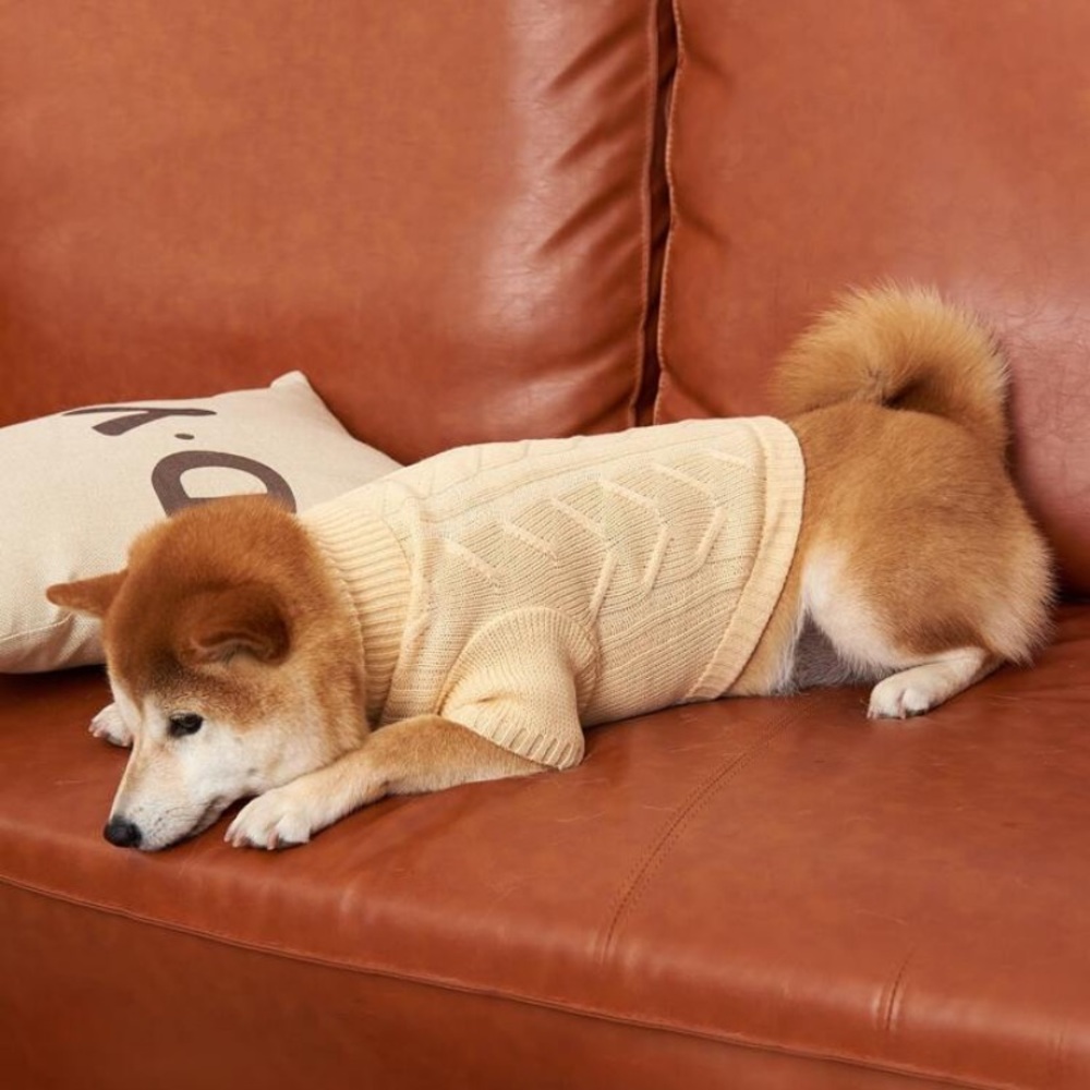 Dog Sweater